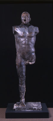 image of kevin christisons sculpture rage, 2000, cast bronze, Di Rosa Reserve Collection